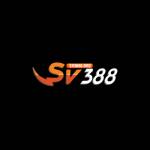 sv3886 org Profile Picture