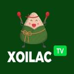 XOI LAC Profile Picture