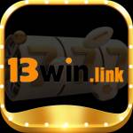 13win link Profile Picture
