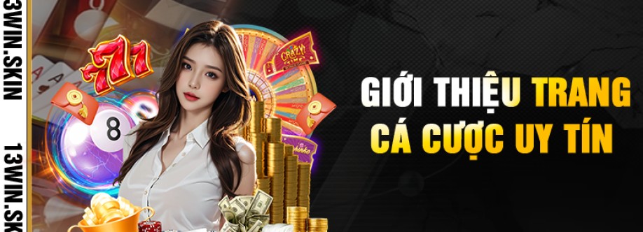 13win skin Cover Image