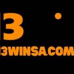 13W13WIN Profile Picture