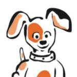 Doo Care Profile Picture