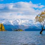 amir amir Profile Picture