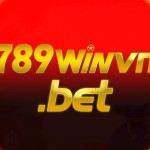 789winvn bet
