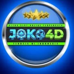 robin shot Profile Picture