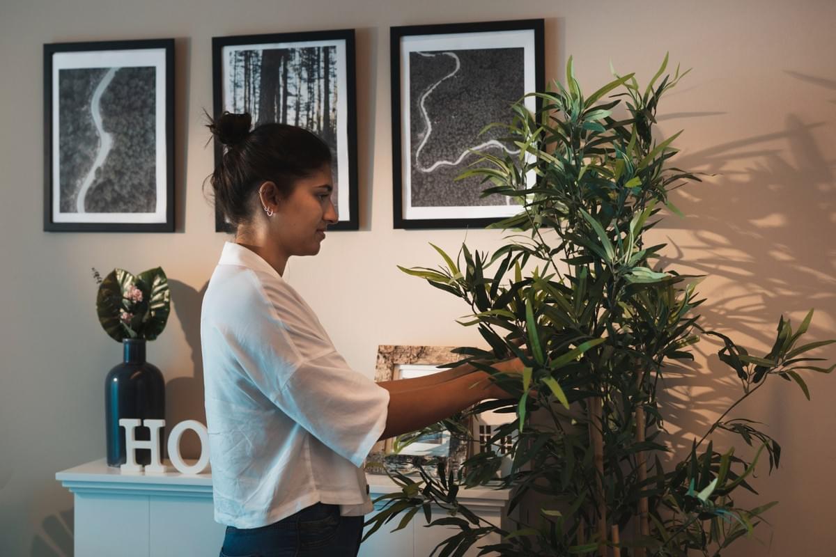 Eco-Friendly Interior Design Services for a Sustainable...