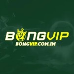 BONGVIP COM IM Profile Picture