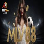 CEO MLV88 Profile Picture