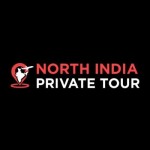 North India Private Tours Profile Picture