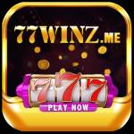 77winz me Profile Picture