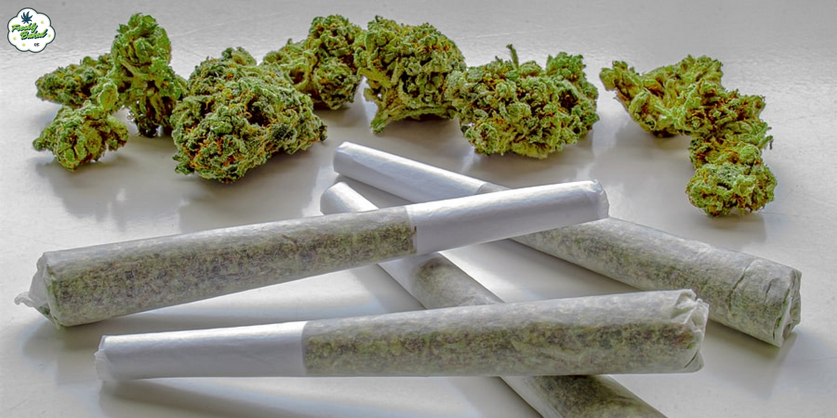 Cannabis Delivery Near Me — Everything You Need to Know for Easy Ordering | by Freshlybakednyc | Jul, 2025 | Medium