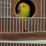 oo3 oo3 Profile Picture