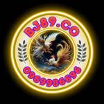 BJ89 CO Profile Picture