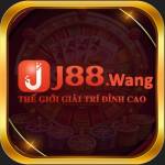 J88 wang Profile Picture