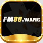 fm88 wang Profile Picture