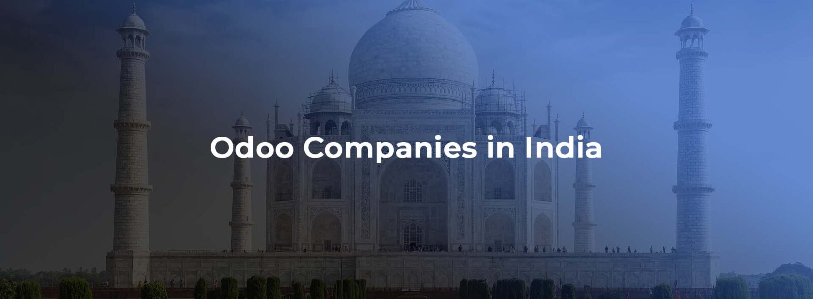 Odoo Companies in India | Banibro