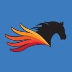 Pegasus Technologies Profile Picture