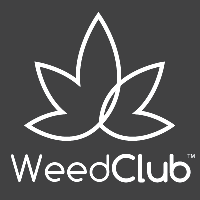 WeedClub | My Business Name | Surface Wallpaper Ideas That Fit High-End Cannabis Spaces