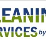 Cleaning Services by Brian profile picture