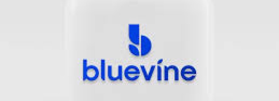 Buy Verified Bluevine Accounts Cover Image
