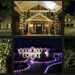Holiday Lighting and Decor by J Bell Profile Picture