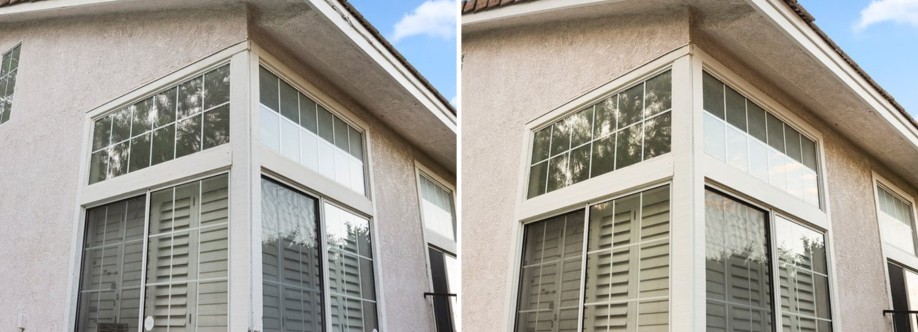 K Termite Cover Image