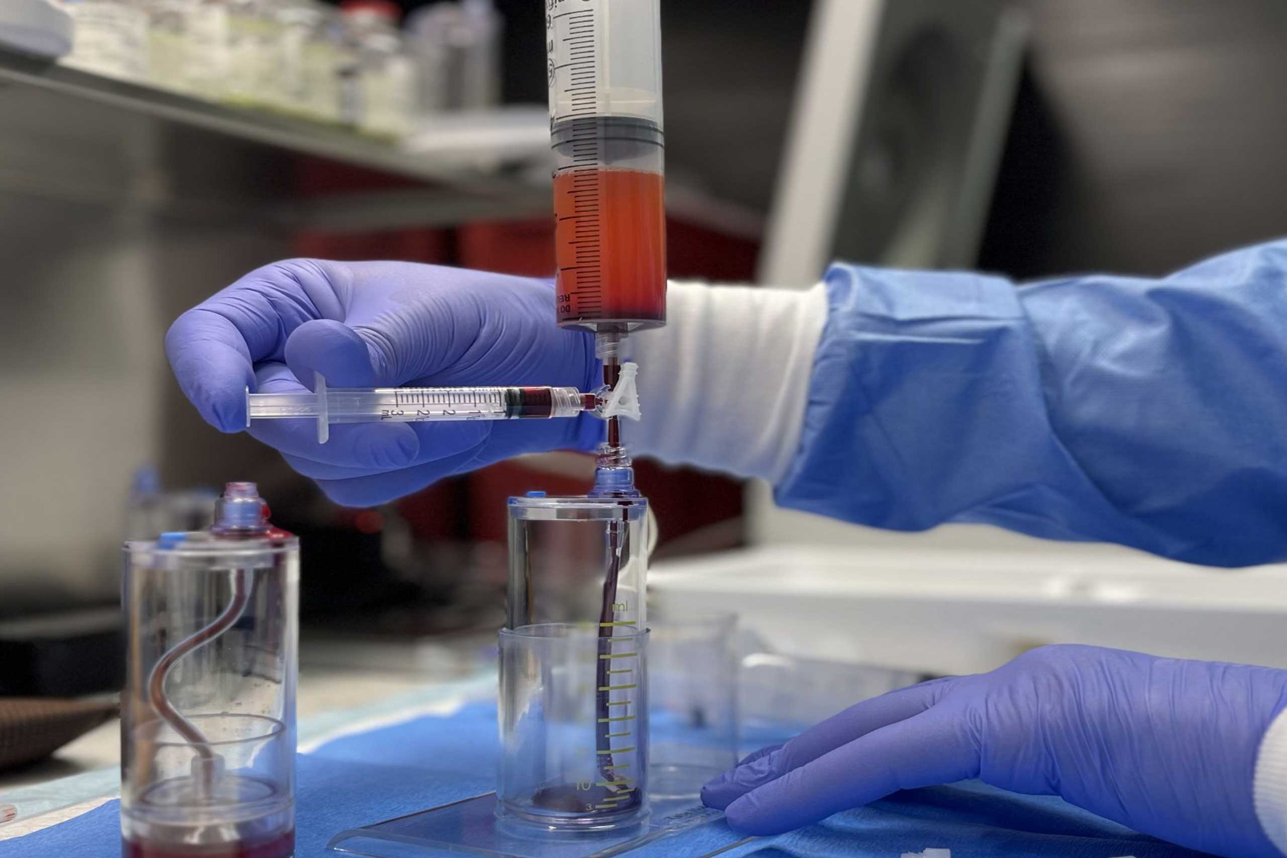 adult repair stem cells