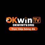 okwintv org Profile Picture