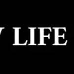 New Life Tint Profile Picture