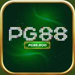 PG88 boo Profile Picture