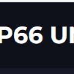 VIP66 UNO Profile Picture