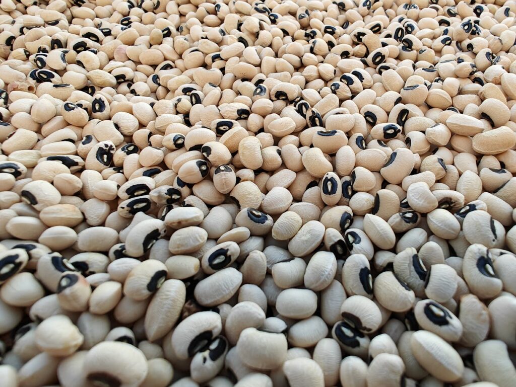Madagascar's Wholesale Pulses Exporter, Supplier and Dealer