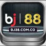 Bj38 com co Profile Picture