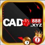 Cado888 xyz Profile Picture