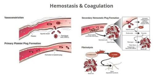 NHS Phlebotomy Course | Phlebotomy Training Courses in London