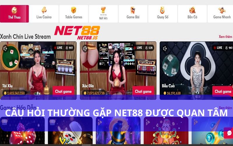 Câu Hỏi Thường Gặp Net88 Được Nhiều Cược Thủ Quan Tâm