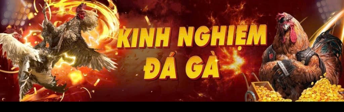 sv3688 vip Cover Image