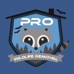 Pro Wildlife Removal Profile Picture
