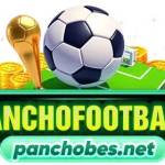 Panchobes Net Profile Picture