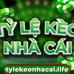 tylekeonhacai life Profile Picture