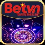 Betvn Com profile picture