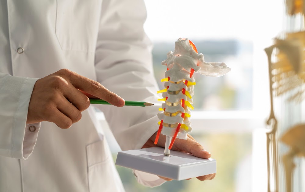 Understanding Spine Stabilization: Techniques and Benefits