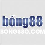bong88o com Profile Picture