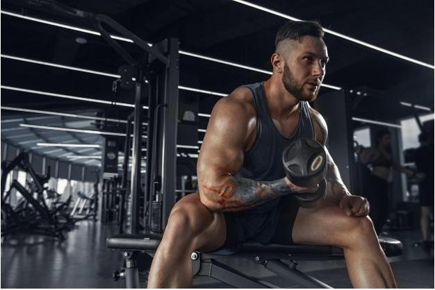 Build Muscle Definition With the Best Steroid Cycle for Muscle Gain
