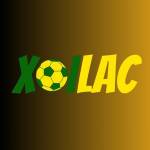 zipgeniuscom thao túng kết quả tìm kiếm Profile Picture