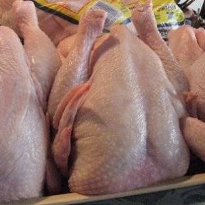 Frozen Whole Chicken - Aurora Alimentos