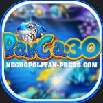 banca30 doithuong Profile Picture