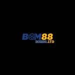 BOM 88 Profile Picture