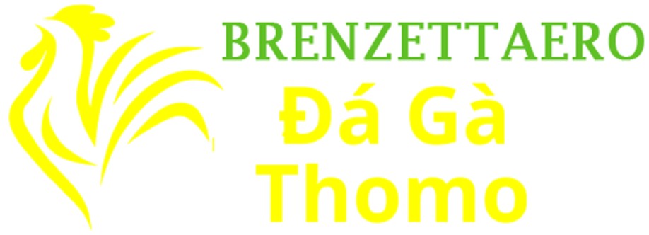 Đá Gà Trực Tiếp Thomo Cover Image