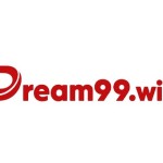 dream99 win Profile Picture